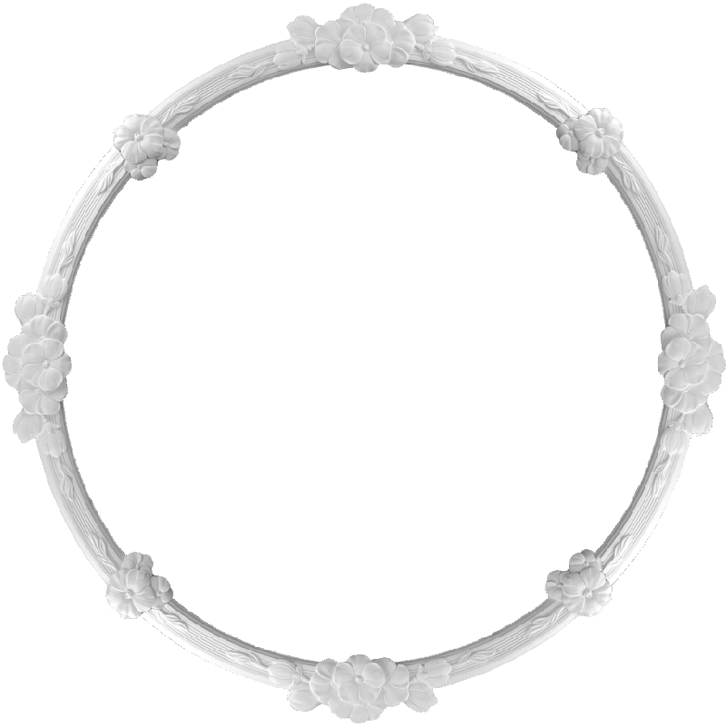 R-F017 – Rosetten